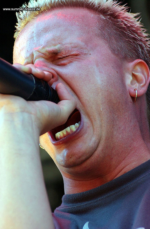 Bild eines Mitglieds der Band Callenish Circle beim Live-Auftritt.